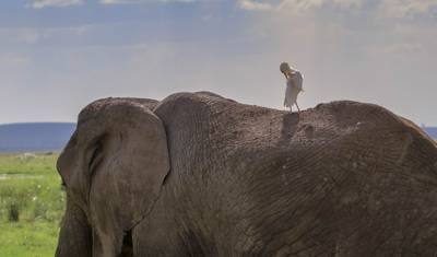 Adventure in Masai Mara, Lake Nakuru, Amboseli (Comfort) 6 Days/ 5 Nights — 3