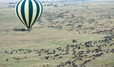 Viagem de 7 Dias dos Gnus - Categoria Média — 4
