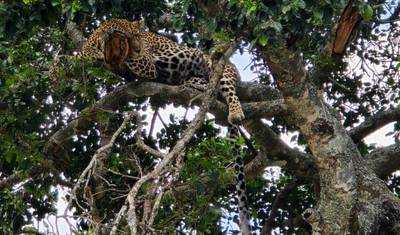 Masai Mara via The Great Rift Valley (Comfort) 3 Days/2 Nights — 4