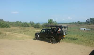 Nature's Secret Sri Lanka - 21 Days — 4