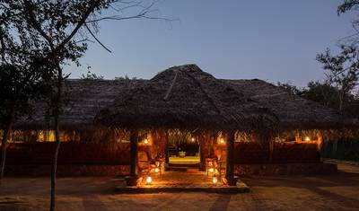 Nature's Secret Sri Lanka - 21 Days — 5