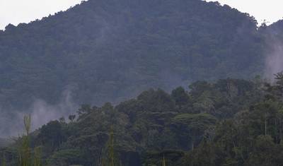2 dias de Trekking de Gorilas em Bwindi a partir de Kigali — 2