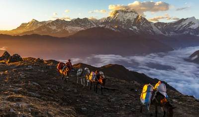 Caminhada Curta Ghorepani Poon Hill — 2