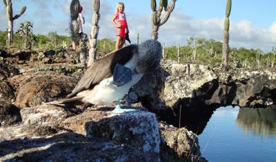 Quito - Mindo - Galapagos  (9 Days) — 4