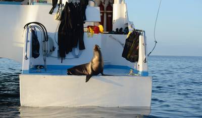 5 Dias Incríveis em Galápagos: Ilhas Isabela e Santa Cruz — 3