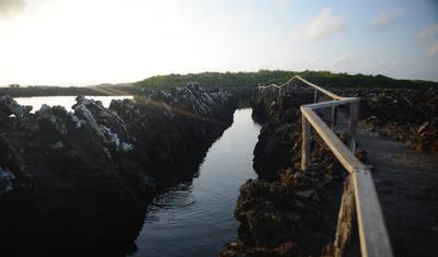 5 Dias Incríveis em Galápagos: Ilhas Isabela e Santa Cruz — 5