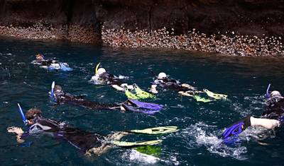 Viagem de um dia para snorkel em Kicker Rock saindo da Ilha de São Cristóvão em Galápagos — 4