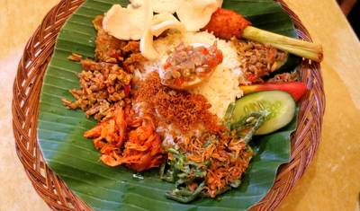 インドネシア探検：カリマンタンのオランウータン — 4