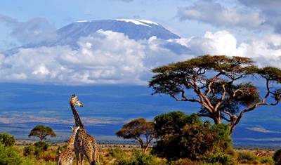Subida ao Monte Meru 6 Dias — 2