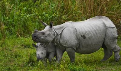 Family Holiday to Nepal 2026/2027 — 4
