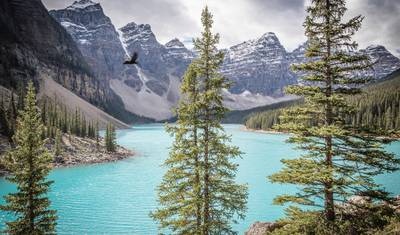Athabasca - Jeziora Moraine, Louise i Peyto — 3