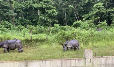 チトワン国立公園内宿泊ツアー — 3
