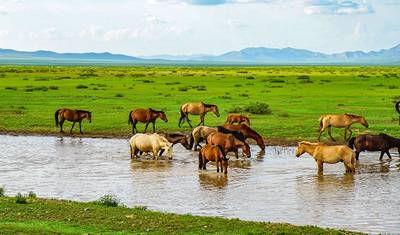 Customized 4 Days Best Private Ulaanbaatar Tour with Exclusive Guide & Driver — 2
