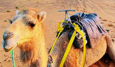 3-Day Private Desert Tour from Marrakech to Merzouga — 4