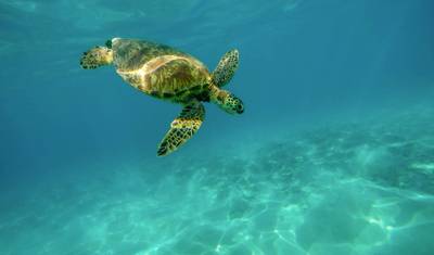 Aventura de Ilha em Ilha em Galápagos 7D/6N — 2