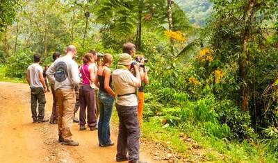 Aventura Amazônica Manu 5D/4N — 2