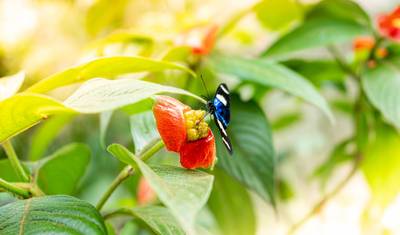 منتجع Puerto Maldonado Amazon Eco-Lodge لمدة 5 أيام/4 ليالٍ (من Cuzco) — 3