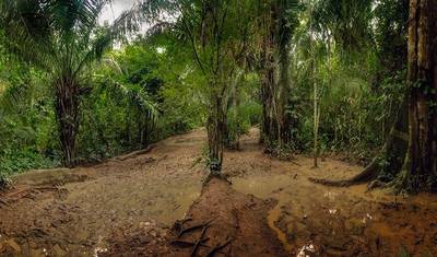 منتجع Puerto Maldonado Amazon Eco-Lodge لمدة 5 أيام/4 ليالٍ (من Cuzco) — 2