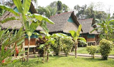 Puerto Maldonado Superiorny Lodge w Amazonii 4 dni/3 noce (z Puerto Maldonado) — 2