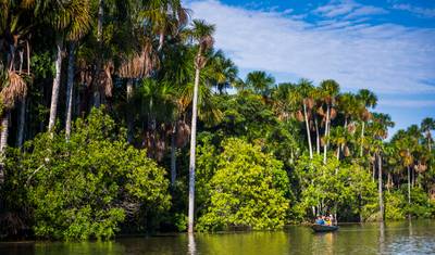 Puerto Maldonado Superiorny Lodge w Amazonii 4 dni/3 noce (z Puerto Maldonado) — 5