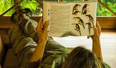 Lodge Superior na Amazônia de Puerto Maldonado 4D/3N (a partir de Puerto Maldonado) — 3