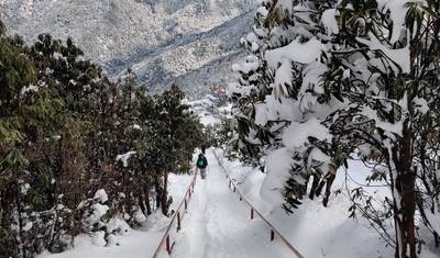 Trekking Ghorepani Poon Hill — 3