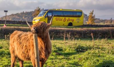 Highland Fling — 3