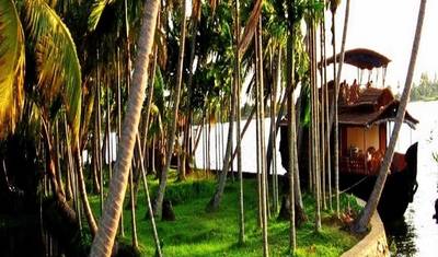 Excursão de 7 Dias por Mumbai e Kerala — 4