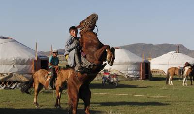 Esencja Mongolii - 7 dni — 4