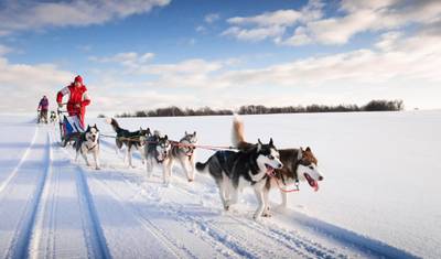 Lapland Winter Adventure — 3