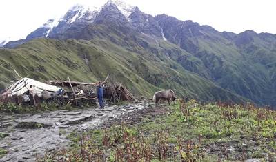 Krótki Trek Mardi Himal 5 Dni 2026/2027/2028 — 4