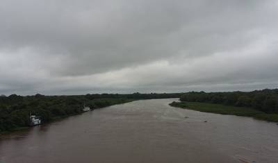 パンタナル：世界最大の湿地を探検する — 2