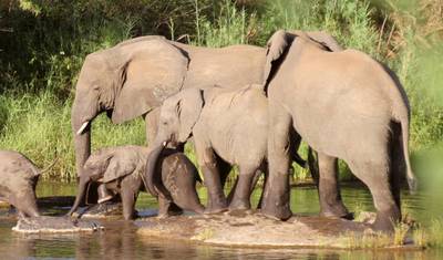 Namibia, Botswana and Falls - 14 days — 5