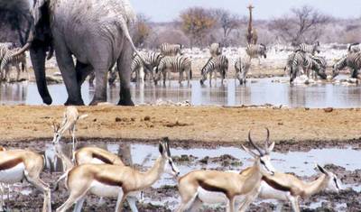 Namibia, Botswana and Falls - 14 days — 4
