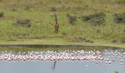 4-dniowy Mount Meru (wysokość 4562 metry) - Trekking Tanzania — 4