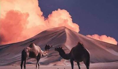 جولة خاصة في المغرب لمدة 17 يومًا من الدار البيضاء — 3