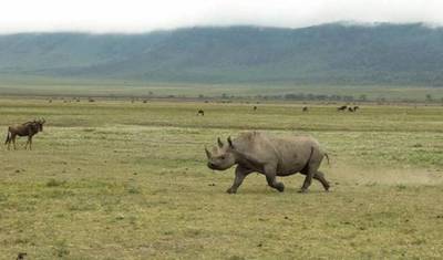 7 Days Tanzania Classic Safari — 2