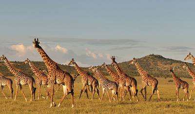 5 Days Tanzania Enticing Explorations — 4