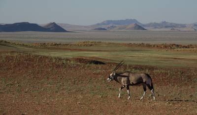 11 Days Namibia Experience Accommodated Tour — 4