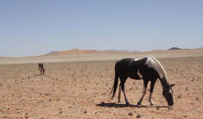 11 Days Namibia Experience Accommodated Tour — 5