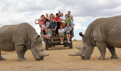13 Days Best of Kenya Family Wildlife Safari & Diani Beach Holiday — 2