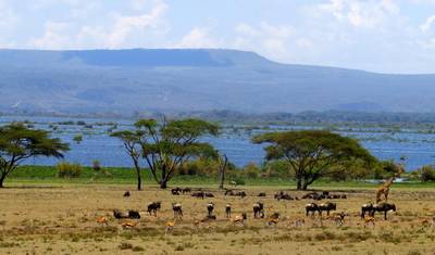 Excursão de 2 dias a Hell's Gate, Lago Naivasha e Ilha Crescent - Partidas Diárias — 2