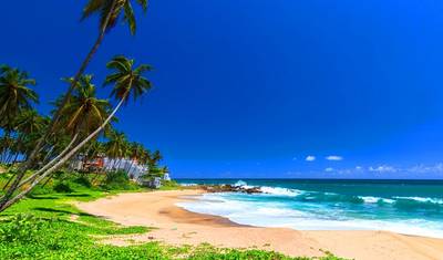 Czarująca Sri Lanka — 5
