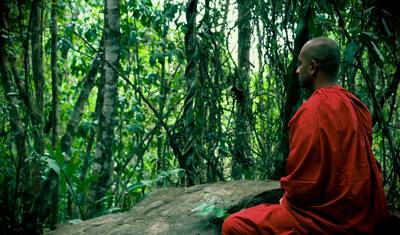 Viagem de 3 Dias ao Sri Lanka — 4