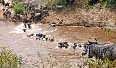Safári em Grupo de 6 Dias no Serengeti, Ngorongoro, Tarangire, Parques Nacionais do Lago Manyara — 5