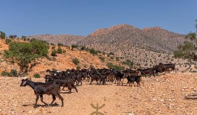 Expedição de 4 Dias ao Atlas e Saara – Dos Picos das Montanhas às Dunas do Deserto — 5