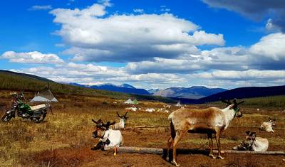 A Cavalo pela Taiga Mística — 3