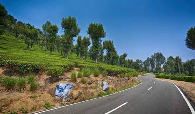 Pacote Mysore - Ooty - Coorg — 5