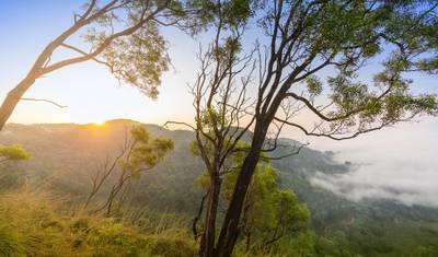 Pacote Mysore - Ooty - Coorg — 2