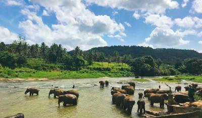 Roteiro de Sri Lanka 7 Dias — 4
